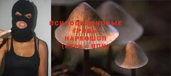 эйфоретик Верхний Тагил