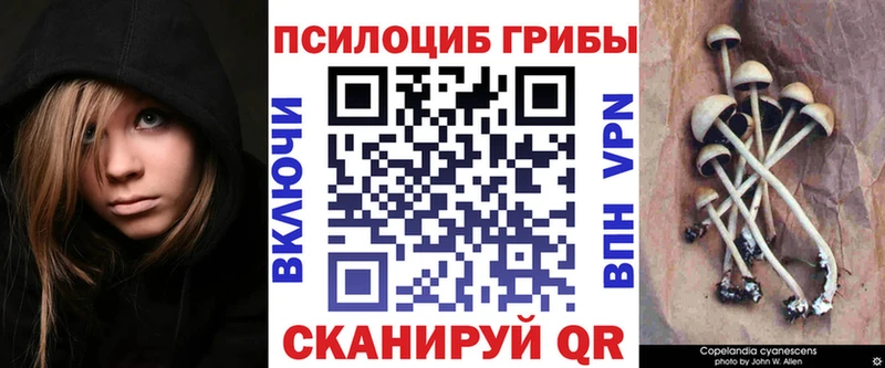 Галлюциногенные грибы ЛСД  Мостовской 